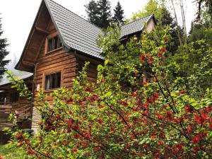 Leśniczówka Przysietnica