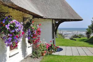 Holiday homes Bettystown - EIR04046-FYD