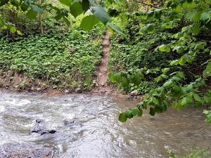 Muskátli Üdülőház