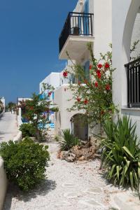 Malamas Apartments Paros Greece