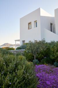 Milos Breeze Boutique Hotel Milos Greece