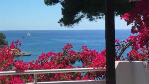 Villa Emilion Beachfront Argolida Greece