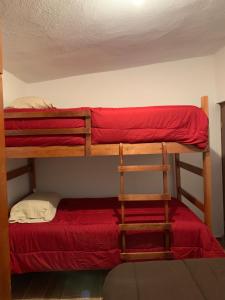 CASA DEL ARBOL en la Sierra de Durango