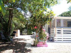 Campings Le Panorama, 3 Ch, 43m2, climatise, super equipe, draps, linge de maison inclus, terrasse fermable de 18m2 : photos des chambres