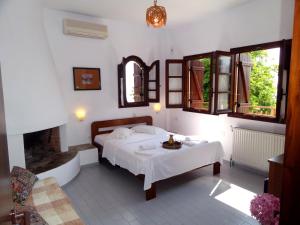 Hotel Vrionis Pelion Greece