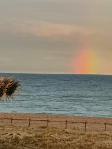 Hotels Hotel de la Plage - Barcares : photos des chambres