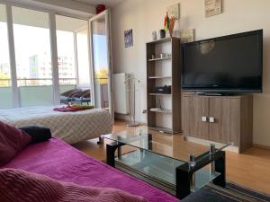 Apartmán Apartment Fiala Olomouc Česko