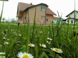 Neda Holiday House 