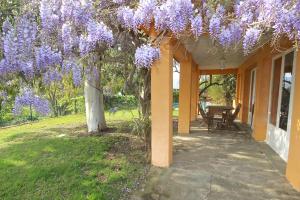 Maisons de vacances Gite des Orgues de la Sybille Eucalyptus : photos des chambres