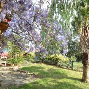 Maisons de vacances Gite des Orgues de la Sybille Eucalyptus : photos des chambres