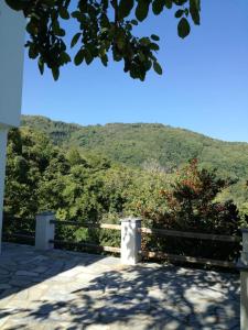 Delux house in Tsangarada Pelion Greece