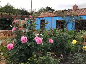 Casa Asuncion, Breña Alta  - La Palma