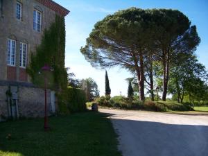 Maisons de vacances Gite, jacuzzi & vin au grenier de Madiran : photos des chambres