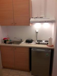 LARINΑKIS STUDIO No1