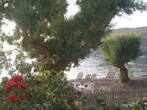 COASTLINE Lesvos Greece