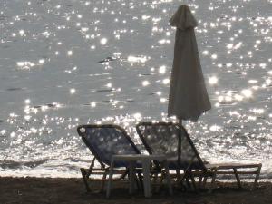 COASTLINE Lesvos Greece