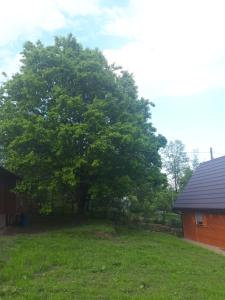 Domek Pod Dębem