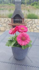 Apartmani "Sandro" Gonar