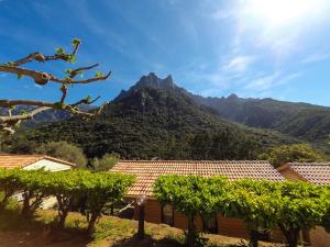 Three-Bedroom Chalet room in Camping Les Oliviers