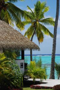 Main Road, Amuri Village, Arutanga PO BOX 59, Cook Islands.