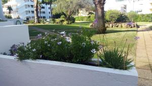 Casal das Alfarrobeiras, 7