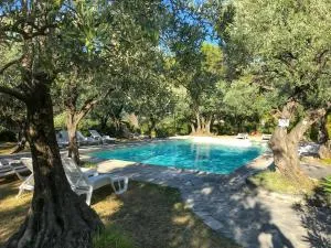 La Picholine en Provence - Nyons