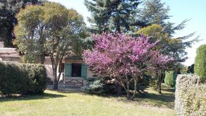 Maisons de vacances L' Homme de fer - gite Kathy : photos des chambres