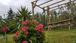 Our relaxing holiday home