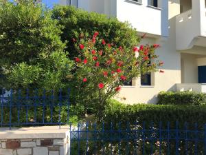 Sea Breeze Hotel Apartments & Residences Chios Chios-Island Greece