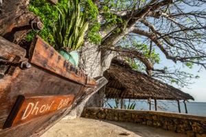 Kizimkazi Mkunguni, Zanzibar, Tanzania, Africa.