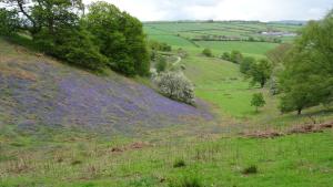 Middle Woodbatch B&B