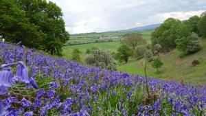 Middle Woodbatch B&B