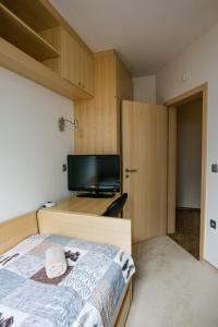 Luxury apartment with a nice view in Kranjska Gora