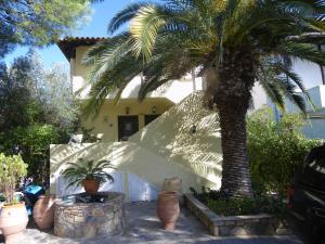 Lazaros Beachfront Apartments & Studios