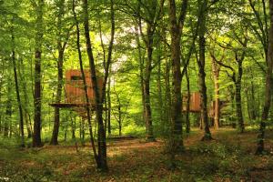 Chalets Cabanes Espace Fouletot : Cabane dans les Arbres Supérieure