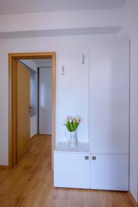Apartman Sea view 