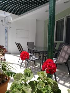 JK's GUESTHOUSE KARDAMAINA Kos Greece