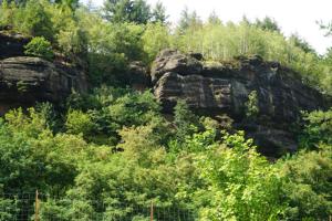 Camping du Plan Incliné photo 21