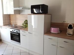 Appartements Appartement avec jardin a Colmar : photos des chambres