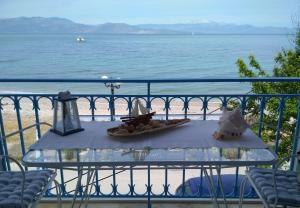 Spacious Seaside Apartment on the Wave Achaia Greece