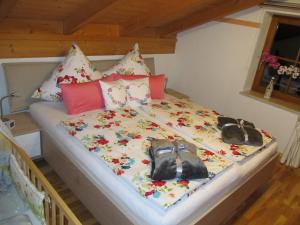 Ferienwohnung Bei Mutti