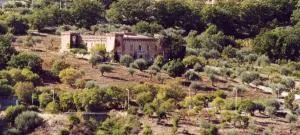 Villa Levante - Castelbuono