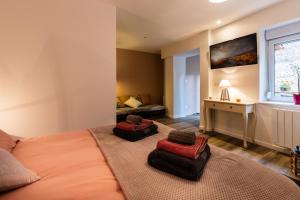 B&B / Chambres d'hotes Les Chambres de Clem' : Suite avec Accès au Spa