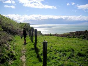 Chalets gite LES FALAISES : photos des chambres