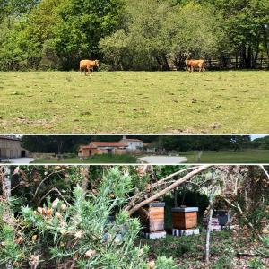 Maisons de vacances LES VACANCES AUX CERCINS : photos des chambres