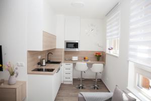 Apartmán Horní Mísečky J4