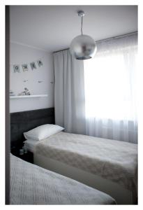 Nord House Apartament