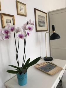 Villa Serra B&B iun E6769 img29