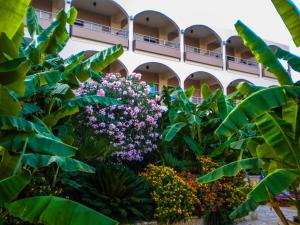 Paradise Lost Hotel-Apartments Argolida Greece