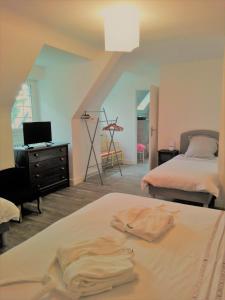 B&B / Chambres d'hotes Villa des Fleurs d'Ajoncs : Chambre Familiale avec Salle de Bains